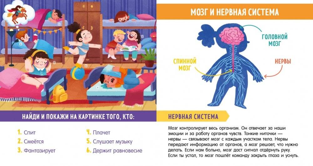 Найди и покажи, малыш. Моё тело фото книги 5