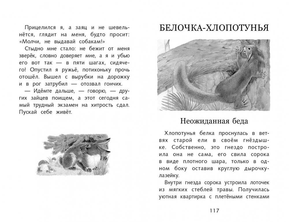 Лесное эхо фото книги 2