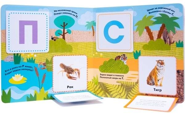 Книжки с загадками и сюрпризами. Моя первая азбука фото книги 3