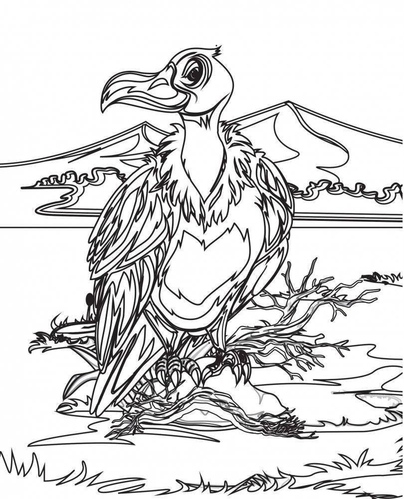 Раскраски из сказки. Птицы фото книги 8