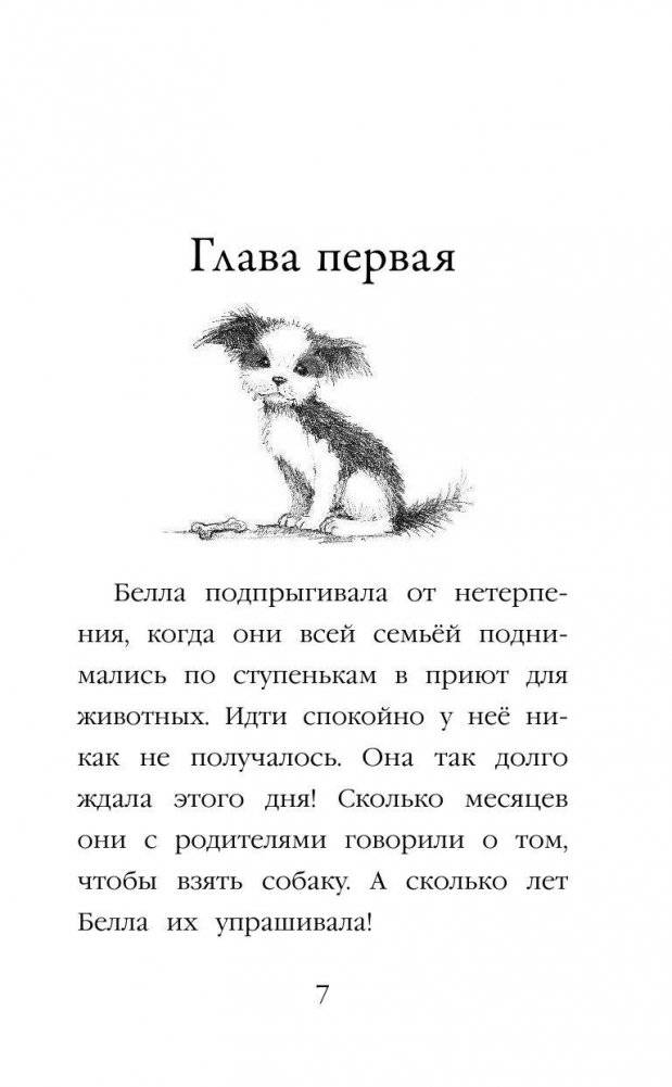 Щенок Сид, или Лучший трюк фото книги 7