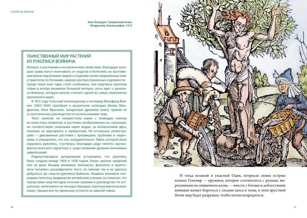 Викка. Зеленая магия, растения и ритуалы фото книги 4