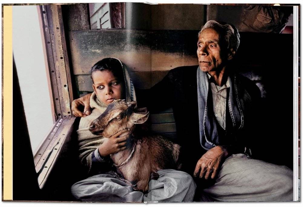 Steve McCurry. Animals фото книги 2