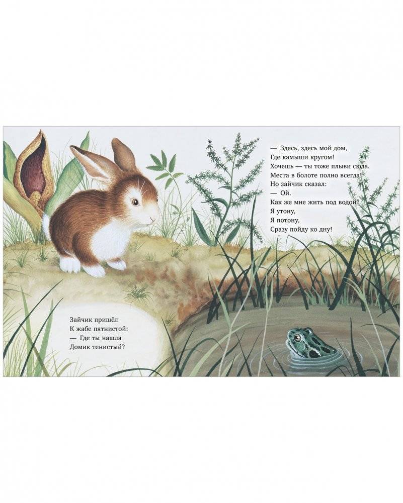 Зайчик ищет дом фото книги 4