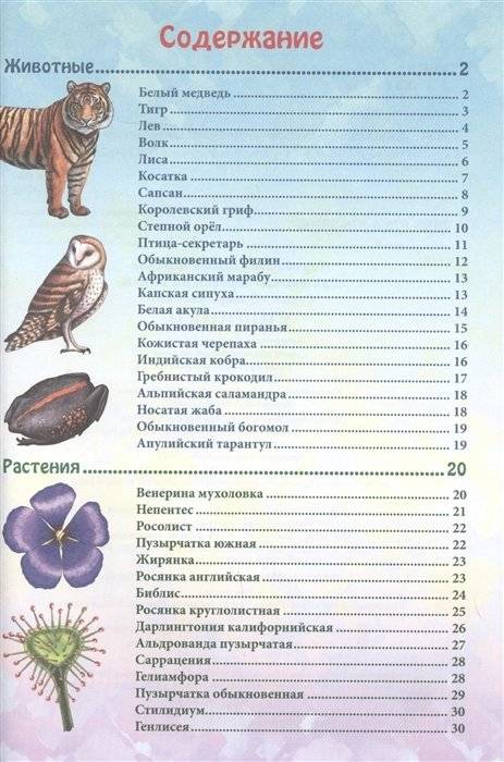 Энциклопедия. Хищники фото книги 2