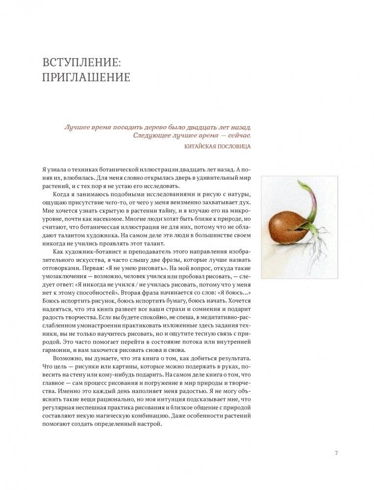 Ботаническая иллюстрация с удовольствием. Пошаговое руководство по изображению цветов, листьев, плодов и других элементов растений фото книги 5