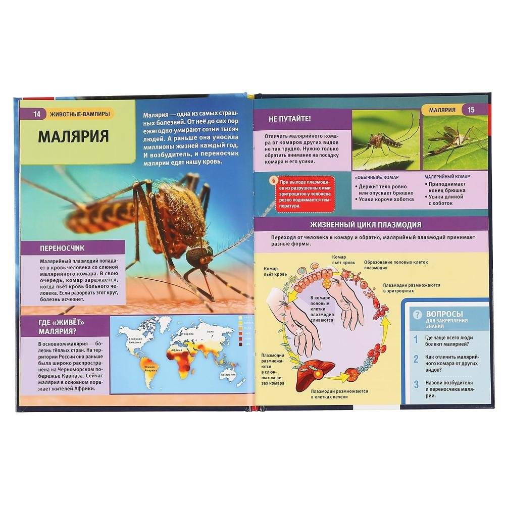 Животные-вампиры фото книги 4