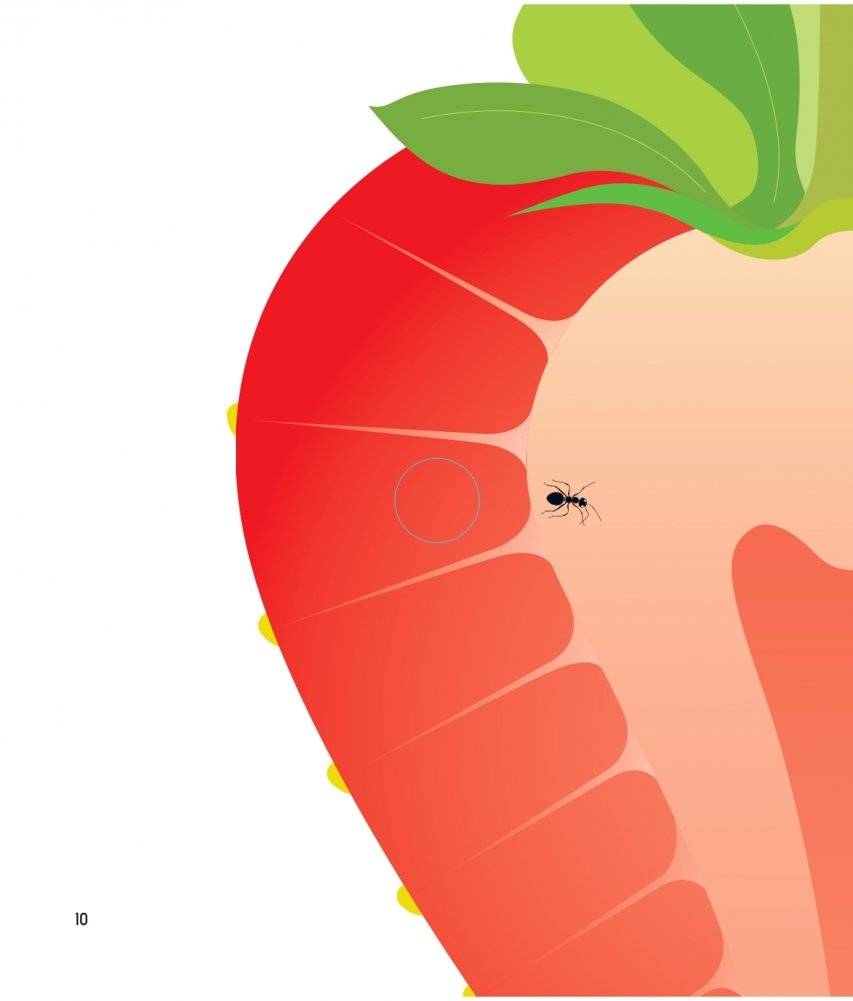 Что за фрукт? фото книги 10