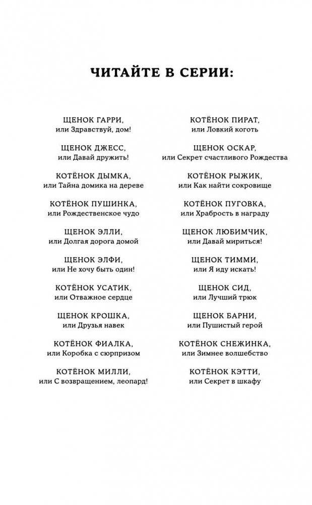 Котенок Кэтти, или Секрет в шкафу фото книги 3