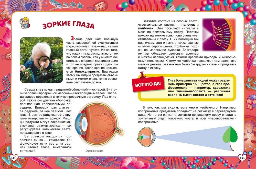 Первая энциклопедия школьника фото книги 3