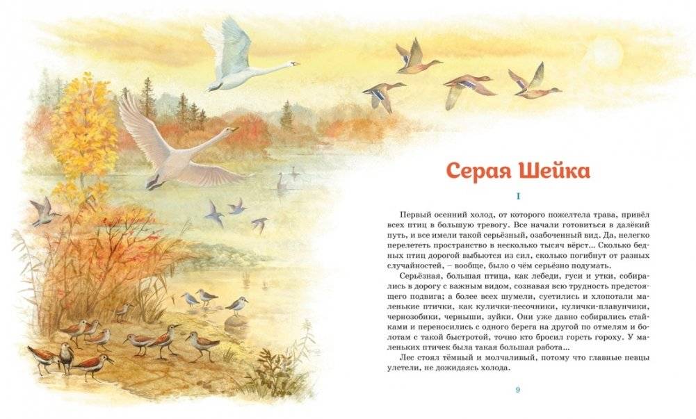 Серая шейка. Рассказы фото книги 3