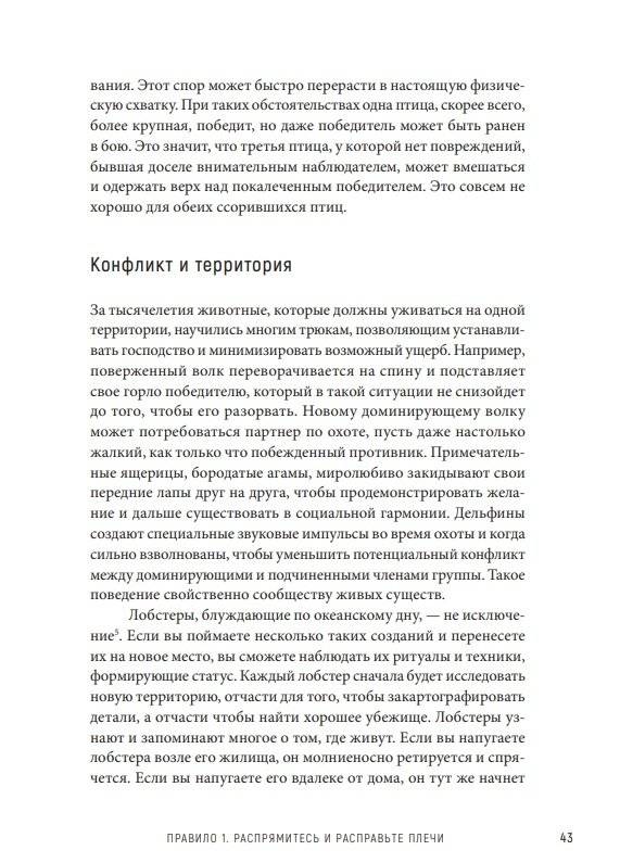 12 правил жизни. Противоядие от хаоса фото книги 6