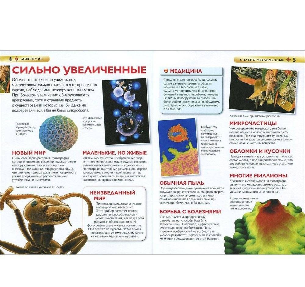 Микромир фото книги 2