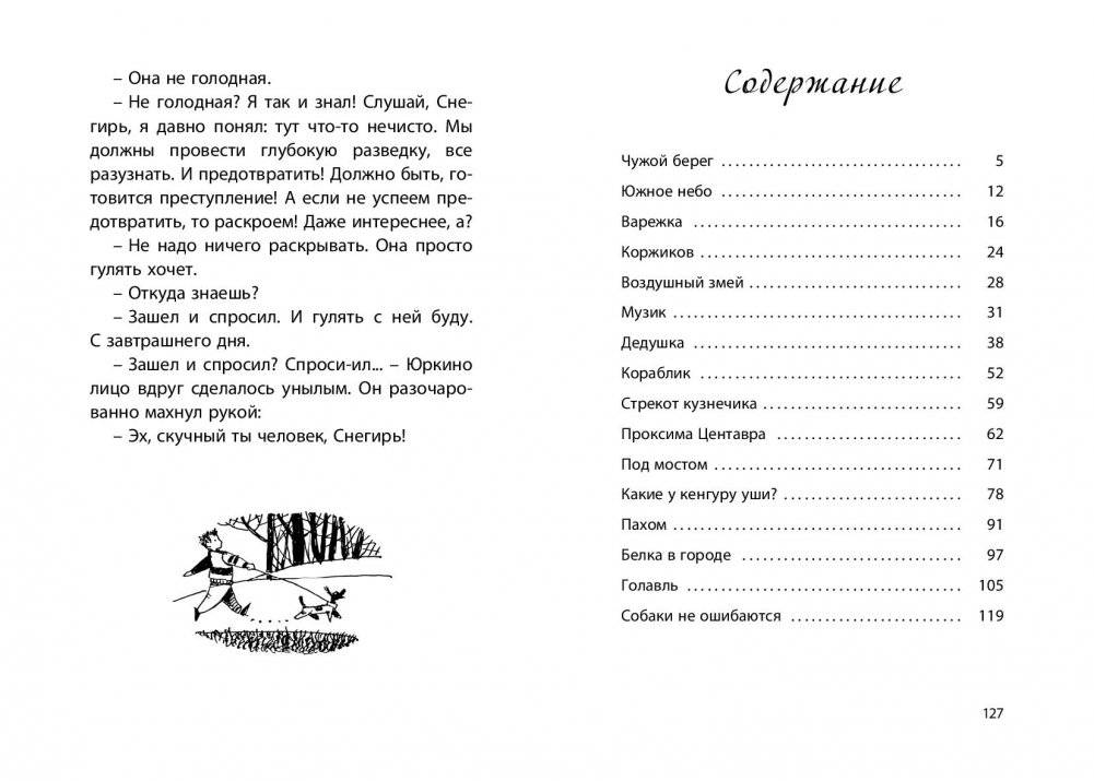 Южное небо фото книги 6