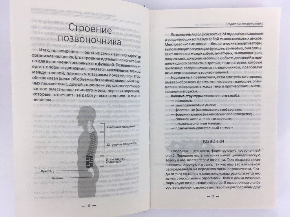 Здоровый позвоночник - залог долголетия. Как укрепить суставы фото книги 7