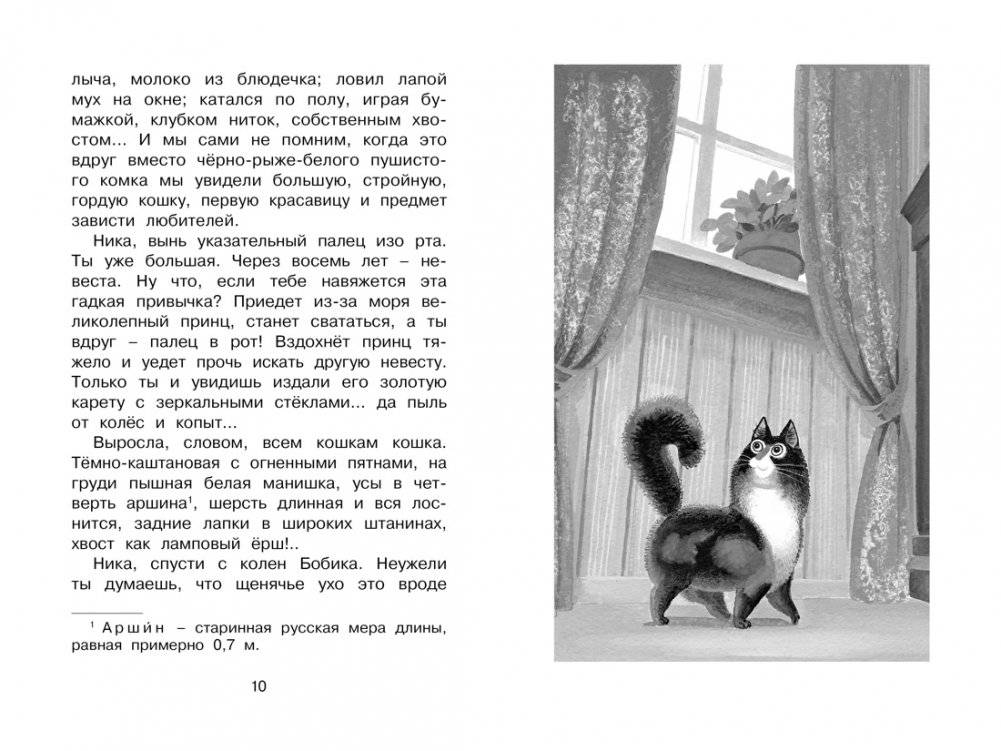 Белый пудель фото книги 2