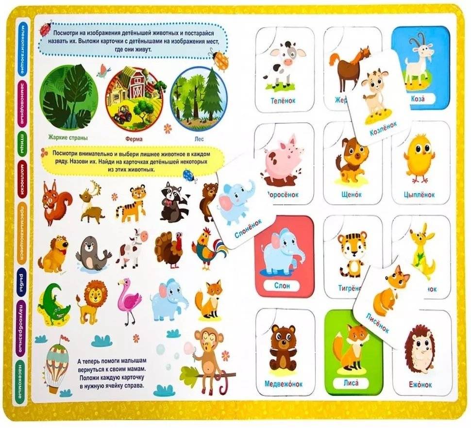 Мир животных. Книга-лото. 48 карточек фото книги 3