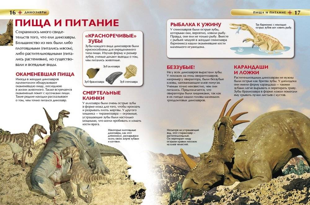 Динозавры. Детская энциклопедия фото книги 2