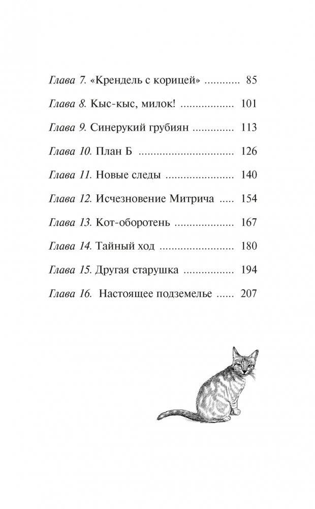 Расследование в кафе «Крендель с корицей» фото книги 3