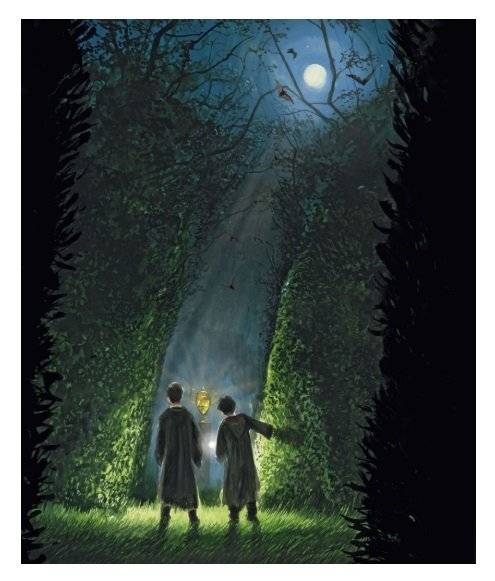 Гарри Поттер и Кубок Огня фото книги 2