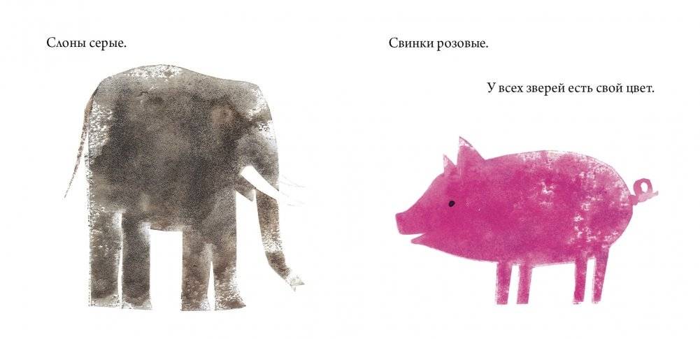 Хамелеон фото книги 4