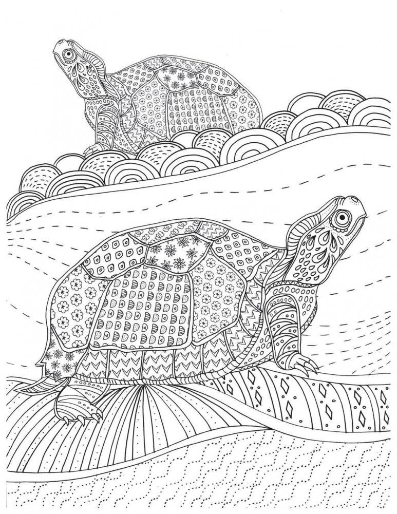 Фантастический мир животных. Арт-медитация фото книги 7