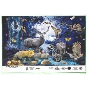 Большая книга о животных. Виммельбух фото книги 3