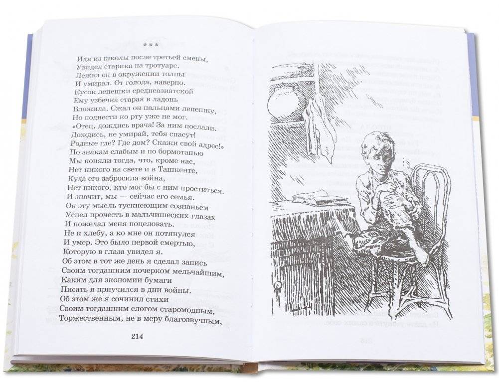 Веселое лето фото книги 5