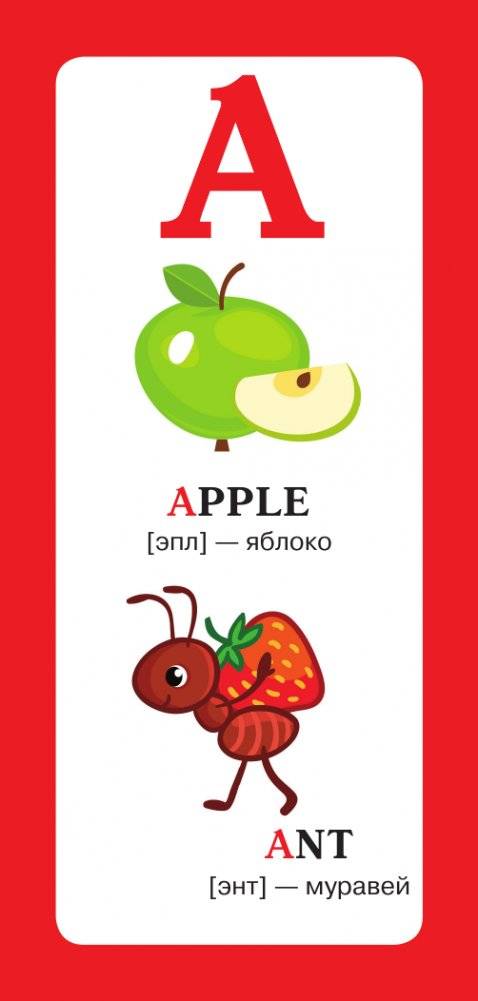 Английские слова в картинках фото книги 4
