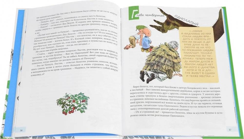 Грибабушка, или немножко колдовства фото книги 4