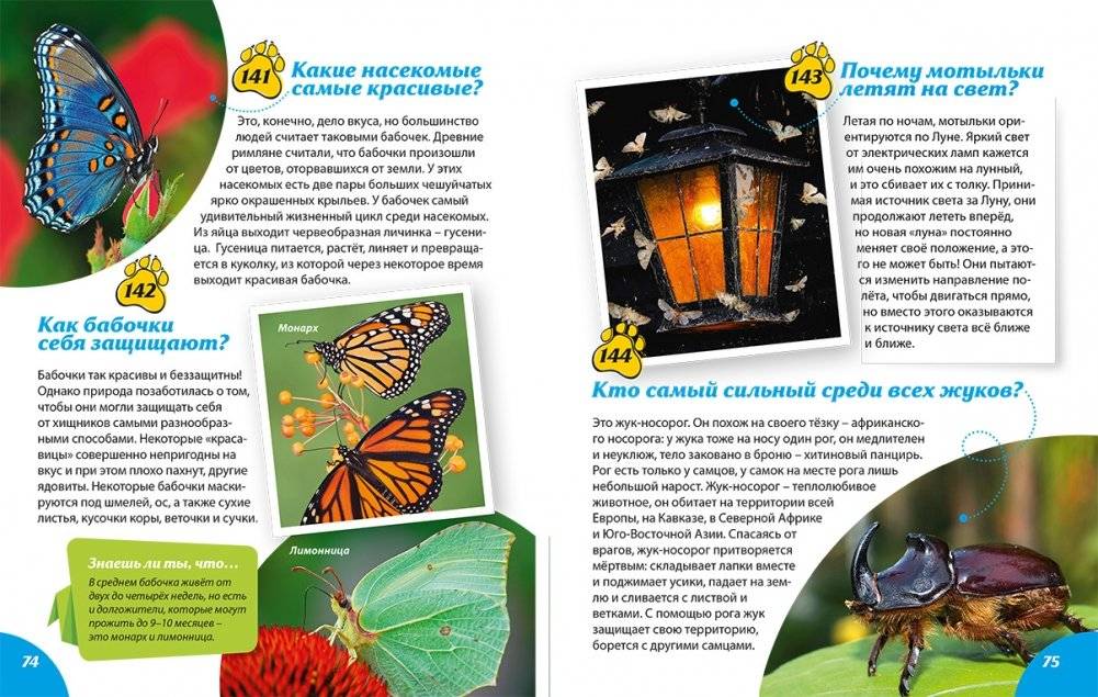 Как? Почему? Зачем? Новая книга вопросов и ответов фото книги 7