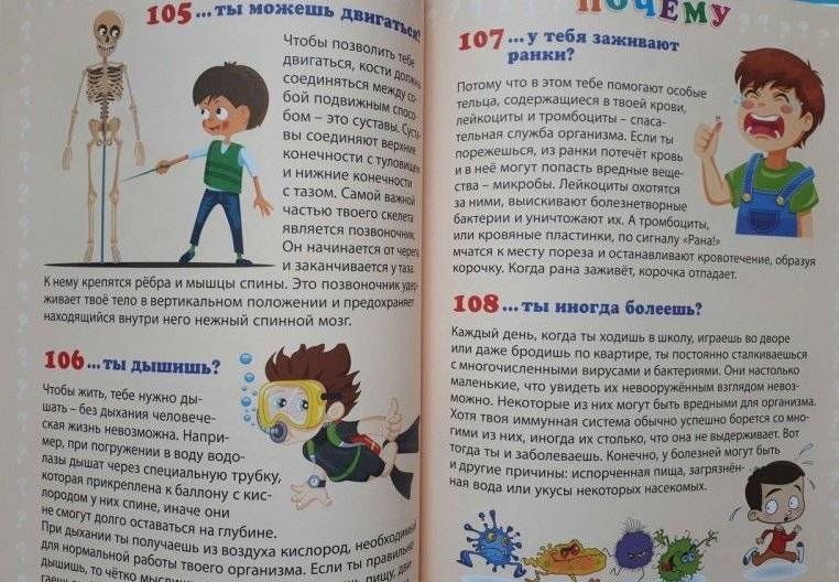 Почему люди не летают? Простые ответы на детские вопросы фото книги 9
