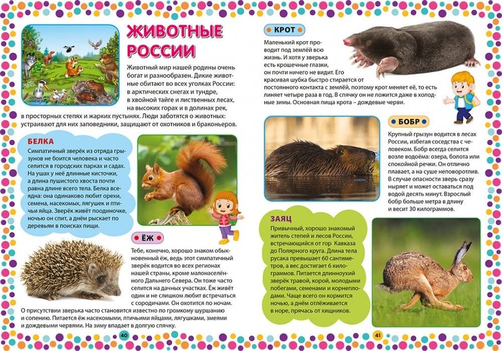Современная энциклопедия для дошколят фото книги 3