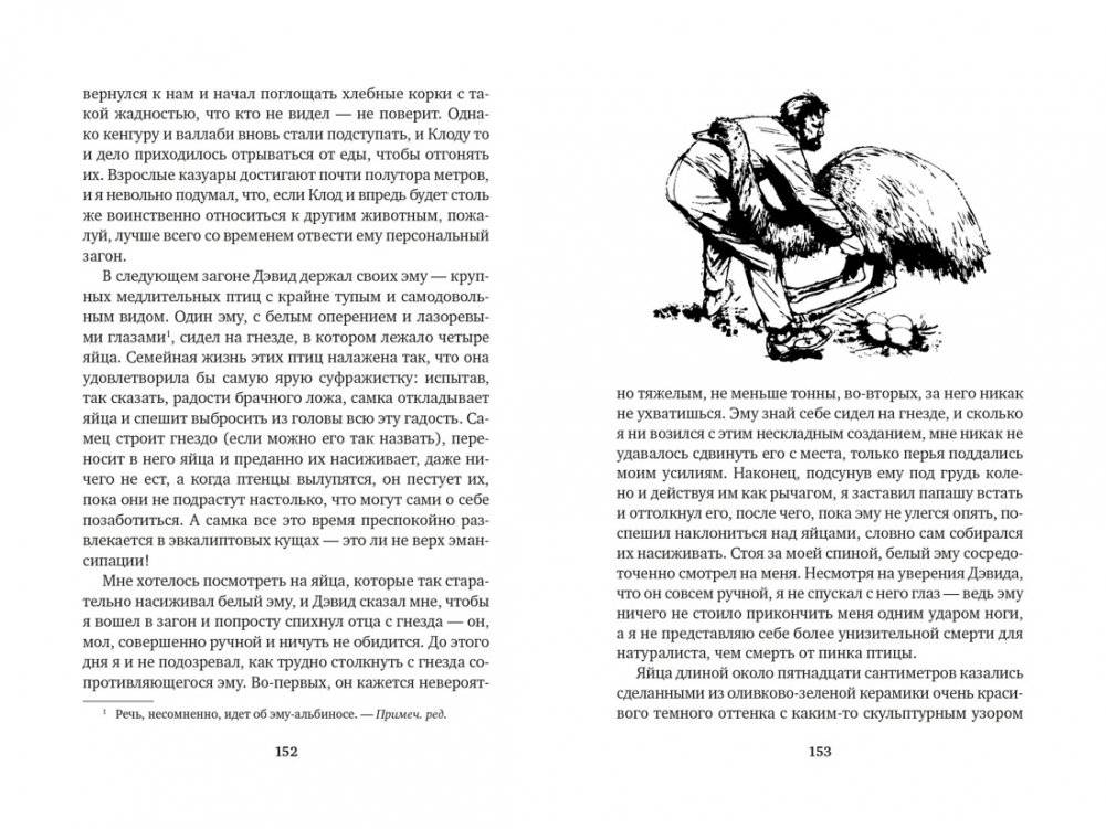 Путь кенгуренка. Поймайте мне колобуса фото книги 3