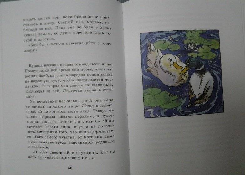 Курочка, которая мечтала летать фото книги 4