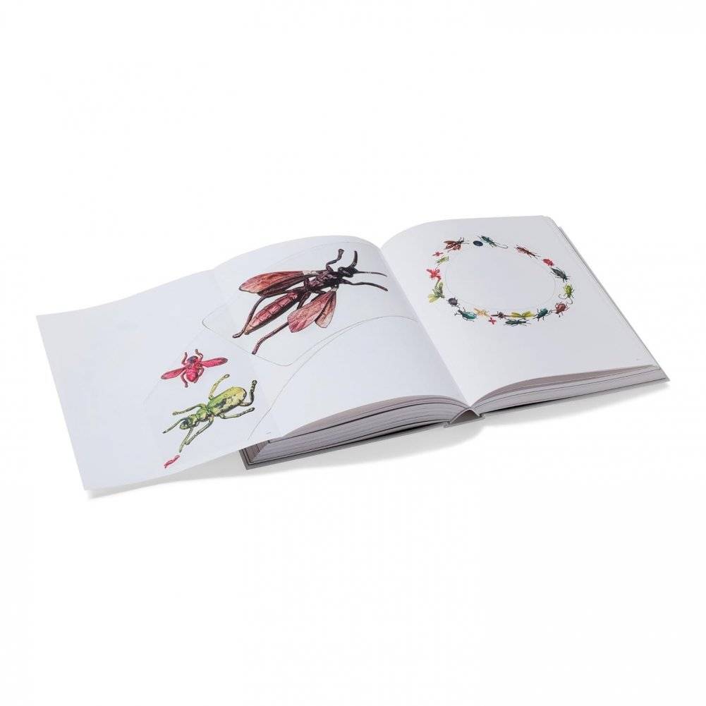 Sleeping Beauties: Reawakening Fashion фото книги 4