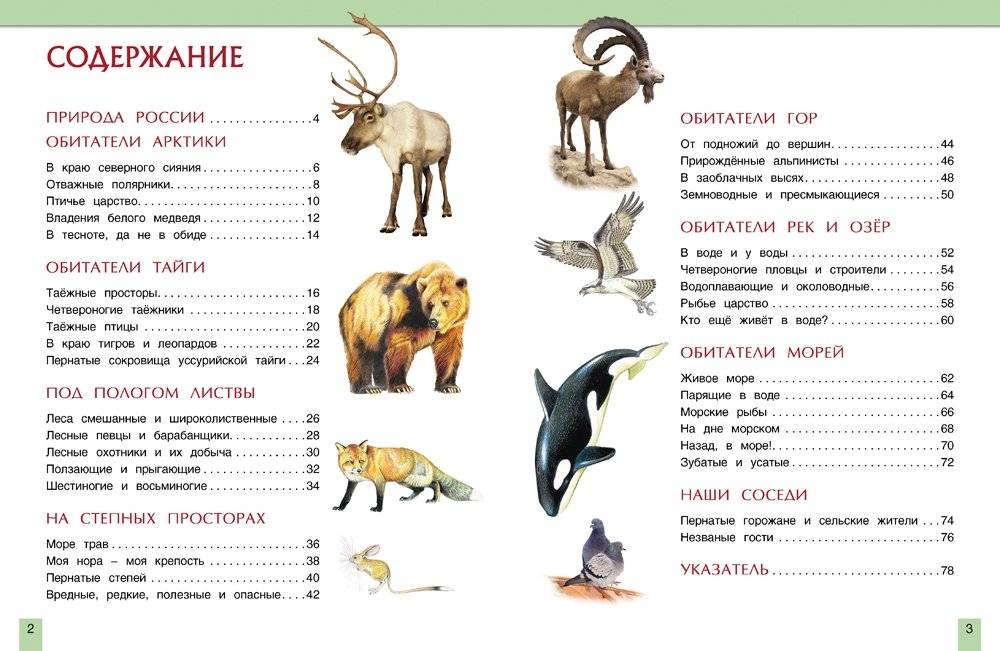 Животные России фото книги 3