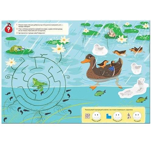 Лесные животные. Лето фото книги 3