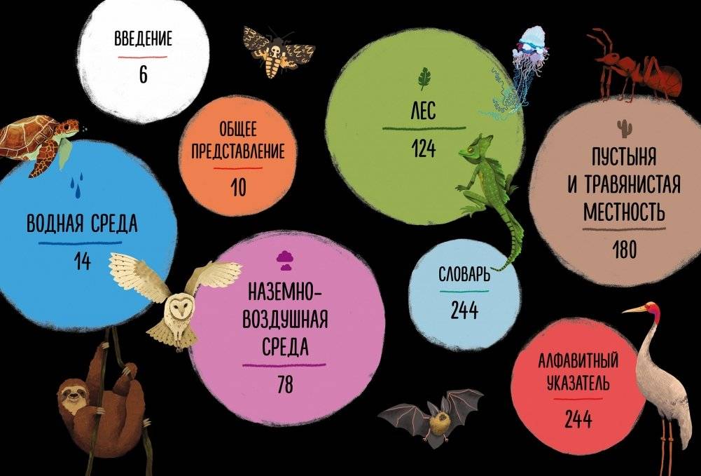 Мир вокруг тебя. Эти невероятные животные! фото книги 2