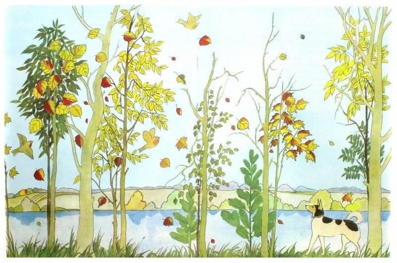 Ясень-ясенек фото книги 2