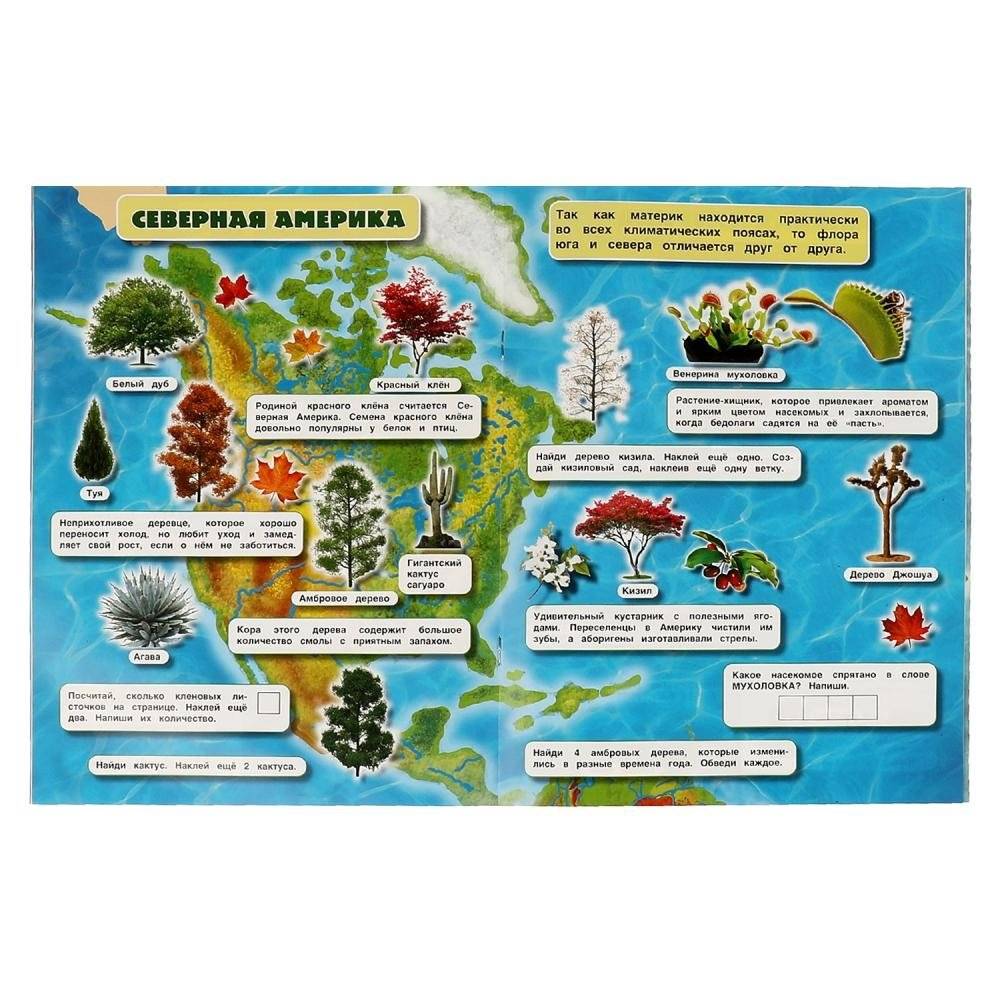 Растения. Атлас мира. 70 наклеек фото книги 3