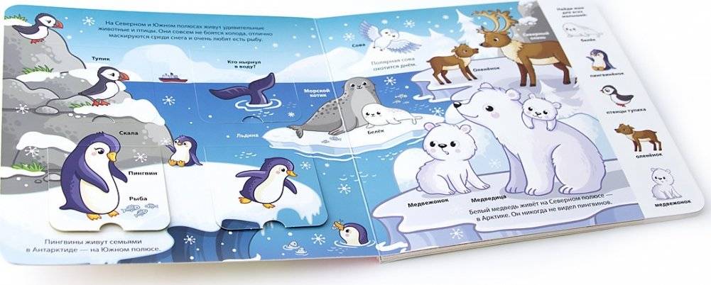 Книжка с окошками "Мои первые слова. Море" фото книги 3