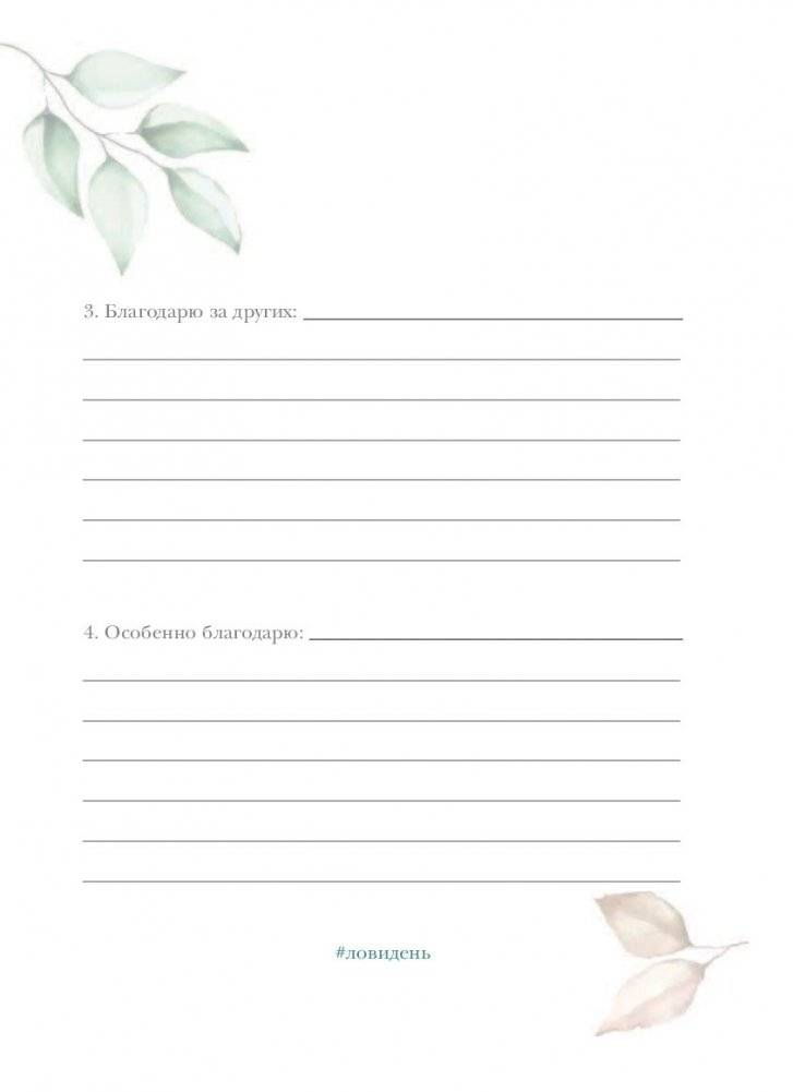 Лови день. Дневник благодарности фото книги 2