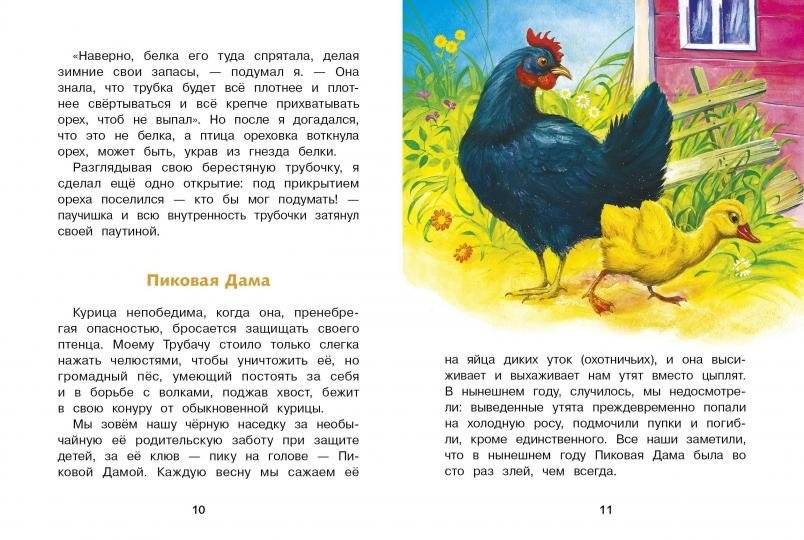 Рассказы фото книги 2