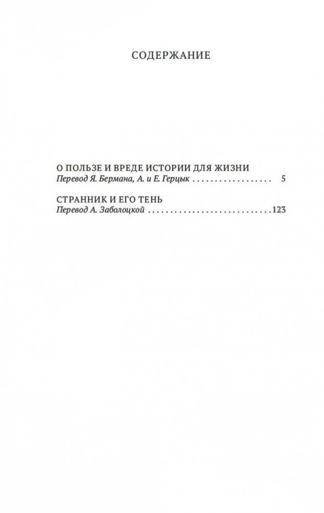 Странник и его тень фото книги 20