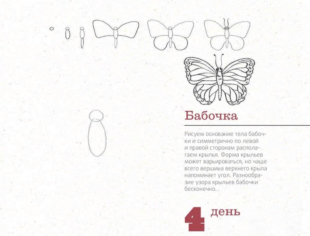 365 дней рисования. Пошаговые техники для начинающих художников фото книги 12