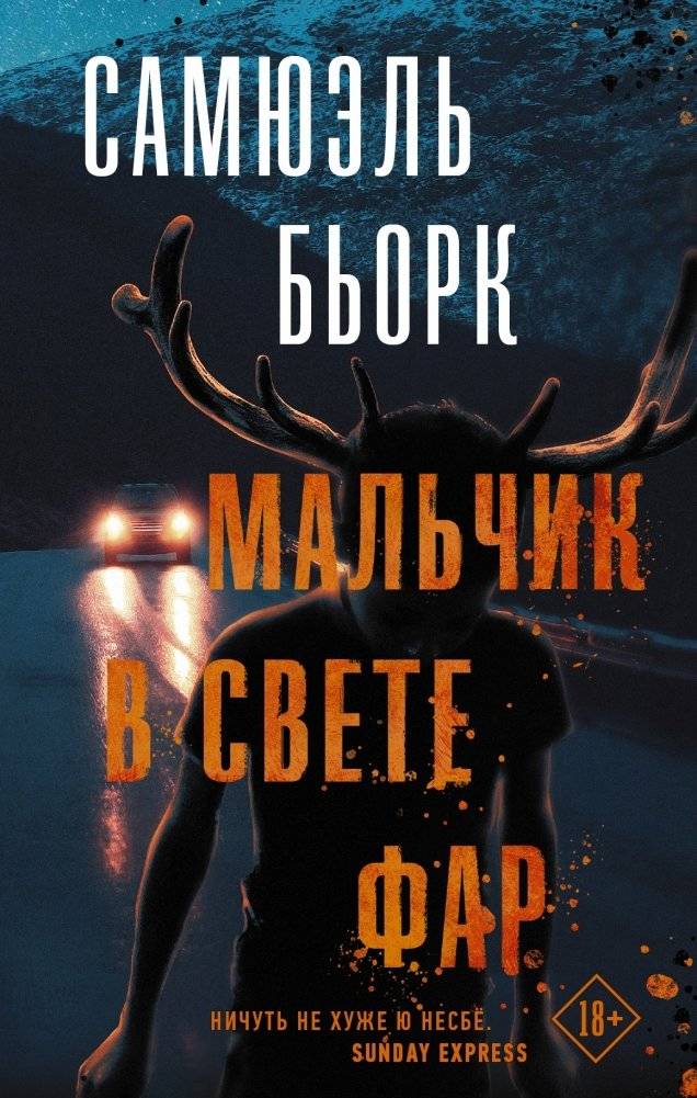 Мальчик в свете фар фото книги 2