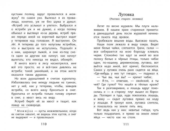 Кладовая солнца фото книги 3