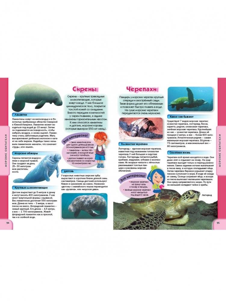 Детская энциклопедия для всезнаек от 6 до 12 лет фото книги 8