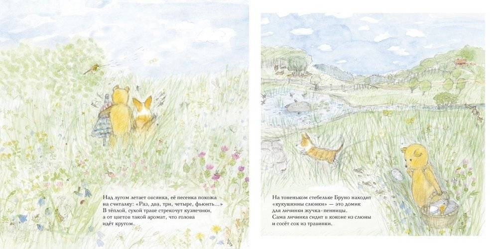 Лето мишки Бруно фото книги 3